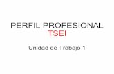 UT1 perfil profesional 2017