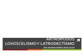 Artropodos loxocelismo latrodectismo