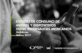ESTUDIO INTERNET 2017 MEXICO