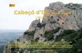 Cabezo de d'or & Cuevas de Canelobre (Alicante)