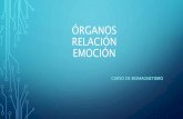 organos relacion emocional y mental