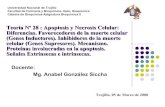 Teoría 28 apoptosis y necrosis