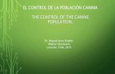 Revisión de procedimientos de control de la población canina