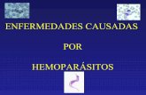 Enfermedades Causadas por hemoparasitos de importancia Veterinaria parte 2  (Duarte J)