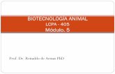 Biotecnología módulo 5
