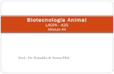 Biotecnología módulo 4