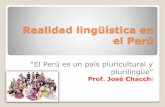 Realidad lingüística en el perú
