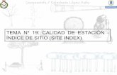 TEMA Nº19: CALIDAD DE ESTACIÓN - ÍNDICE DE SITIO …ocw.upm.es/ingenieria-agroforestal/dasometria/contenidos-ocw-2008/... · / Unidad de Superficie / En periodo de tiempo (Turno)