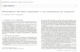 Metabolismo del hierro plasmatico sus mecanismos ... - · PDF fileQUIMICA CLlNICA 1985; 4 (3): 165-169 IREVISION Metabolismo del hierro plasmatico y sus mecanismos de transporte F.