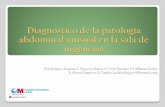 Diagnóstico de la patología abdominal inusual en la sala ...seram2010.seram.es/modules/posters/files/patologa_abdominal_in... · La apendicitis es la causa más común de abdomen