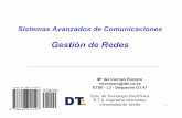 Sistemas Avanzados de Comunicaciones - dte.us.es · PDF fileLos modelos de gestión de redes de comunicaciones. Arquitecturas normalizadas Estaciones de trabajo o workstations BT Hosts