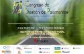GESTIÓN DE FIRMES EN LA RED FORAL DE CARRETERAS DE …congresopavimentos.aecarretera.com/wp-content/uploads/2017/05/... · gestiÓn de firmes en la red foral de carreteras de bizkaia