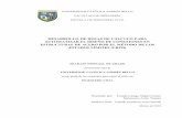 DESARROLLO DE HOJAS DE CÁLCULO PARA …biblioteca2.ucab.edu.ve/anexos/biblioteca/marc/texto/AAR7810.pdf · 2.5 Hoja de Cálculo para el Diseño de Placas Base Articuladas & & & &...51