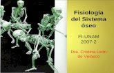 Sistema óseo Fisiología -   · PDF fileFisiología del Sistema óseo FI-UNAM 2007-2 Dra. Cristina León de Velasco