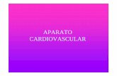 C4 APARATO CARDIOVASCULAR - agro.uba.ar APARATO CARDIOVASCULAR.pdf · CARDIOVASCULAR. CORAZÓN Órgano muscular provisto de cuatro válvulas y cuatro cavidades que mueve ... SISTEMA