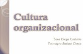 Sara Diego Castaño Yosmayra Batista Checo · PDF fileTeoría del Ajuste Cultural de Kekäle. Schein (1988). Presunciones básicas. Relación de la humanidad con la naturaleza La naturaleza