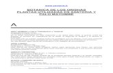 botanica orishas esp -   · PDF file  Plantas usadas en Santería y Palo Mayombe – Oshun Bomiré 3 cabeza y pelo de las axilas de la persona que se quiere controlar