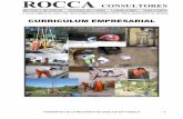 Curriculum Rocca Consultoresroccaconsultores.com/Curriculum Rocca Consultores.pdf · sustentabilidad del pavimento mediante un correcto diseño y estudio óptimo de los materiales