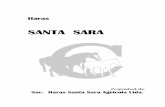 267Haras Santa Sara 2016 - criadores.cl Santa Sara.pdf · Criadores F.S. Carrera S.A. ---- 269226699269 Montjeu Sadler’s Wells Authorized C.1996 Floripedes Nº 469 C.2004 Funsie