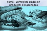 CONTROL DE PLAGAS EN PRODUCTOS ALMACENADOSecaths1.s3.amazonaws.com/terapeutica/Tratamiento.de.plagas.en... · Tema: Control de plagas en productos almacenados Ing. Agr. Julio Cesar
