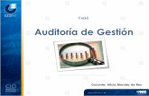 Auditoría de Gestión - · PDF fileplanificación de la auditoría o Fase II: Pruebas y hallazgos de auditoría, evidencias y papeles de trabajo o Fase III: Informes de auditoría