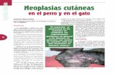 Neoplasias cutáneas - · PDF filepara revisiones periódicas, y los ser-vicios profesionales que prestamos los veterinarios han mejorado en ... Las ventajas de la citología en el