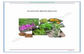 PLANTAS MEDICINALES - s3.  · PDF fileCon el fin de hacer el mejor uso posible de las plantas medicinales y los productos derivados, este capítulo describe