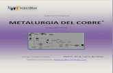 METALURGIA DEL COBRE - intermetperu.comintermetperu.com/.../Programa_Internacional_Metalurgia_del_Cobre.pdf · más grandes), por lo cual las personas que laboran a diario en el campo
