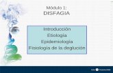 Módulo 1: DISFAGIA - Disfagia prácticaauladedisfagiapractica.com/admin/publics/upload/contenido/pdf... · La DISFAGIA, alteración en la deglución, es un síntoma caracterizado