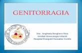 GENITORRAGIA - sogia.clsogia.cl/wp-content/uploads/2015/04/M11_Genitorragia_Dra_Borghero.pdf · •Distrofia vulvar hipertrófica •Síntomas: ... disuria y prurito. •Signos: vulva