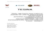 PERU: METODOLOGIA PARA EL DISEÑO DE UNA PLANIFICACION ... · PDF fileperu: metodologia para el diseÑo de una planificacion estrategica interrelacionada con la administracion presupuestaria