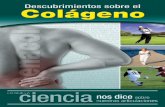 Colágeno, ¡el adhesivo del cuerpo ... · PDF fileRoles del colágeno en el cuerpo humano ... ligamentos y piel; Tipo II Cartílagos y estructura ... El rol biológico del colágeno