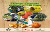 Presentación -  · PDF fileServicio Nacional de Aprendizaje ... técnicos y productores de frutas y hortalizas a través de la ... principalmente de la pulpa del fruto, pasan