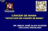 CÁNCER DE MAMA - · PDF fileDía 7 a 10 del inicio de la menstruación. ... IMPACTO DE VIDA DE CON CÁNCER DE MAMA WORLD CANCER REPORT 2002 ... enfermedad • Monitorización de la