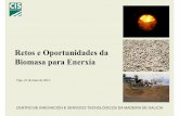 Retos e oportunidades da biomasa - GE2C'S e... · UNE-EN 14961-2:2011 “Especificaciones de pelet para uso no industrial ...