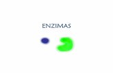 ENZIMAS - [DePa] Departamento de Programas …depa.fquim.unam.mx/amyd/archivero/1.4.ENZIMAS_24470.pdf · La carboxipeptidasa, la cual remueve residuos de aminoácidos del extremo