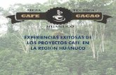 EXPERIENCIAS EXITOSAS DE LOS PROYECTOS CAFÉ EN · PDF filePrestación de asistencia técnica en el manejo del cultivo de café de altura. ... Planta de abonos Oro Verde 50 TM. ...