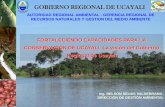 GOBIERNO REGIONAL DE UCAYALI · PDF fileEn el marco de la ley forestal: ... PERFIL Manejo y repoblamiento de la charapa ... se presentó el Proyecto de ordenanza para la creación