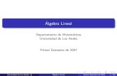 Departamento de Matem´aticas Universidad de Los Andes ...acardona/AL-CAP1.pdf · Contenidos 1 Geometr´ıa en Rn, matrices y sistemas de ecuaciones lineales Vectores en el Espacio