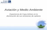 Aviación y Medio Ambiente - latincarbon.comlatincarbon.com/previous/2009/docs/presentations... · encontramos desarrollando una estrategia integral que permita minimizar el impacto