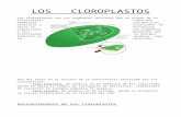 Web viewLOS CLOROPLASTOS. Los cloroplastos son los orgánulos celulares que se ocupan de la fotosíntesis. Tiene dos membranas concéntricas, vesículas y tilacoides, en