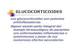 glucocorticoides -  · PDF fileGLUCOCORTICOIDES ASPECTOS MORFOLÓGICOS CORTEZA SUPRARRENAL: Las glándulas suprarrenales están ubicadas en el espacio retroperitoneal, cerca