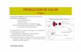PRODUCCION DE CALOR - · PDF filePRODUCCION DE CALOR MB –T -AVA (Reposo –Ayuno) • MB = Necesidades energéticas de un organismo animal en post-absorción, reposo y ambiente
