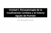 Unidad I: Fisiopatología de la Insuficiencia Cardíaca y el ... · PDF fileConcepto Clave Insuficiencia Cardíaca •La insuficiencia cardiaca es un síndrome clínico que ocurre