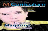 Curriculum Magazine - wannam.yolasite.comwannam.yolasite.com/resources/curriculum2013.pdf · 6 Otras habilidades 7 Estudios y reconocimientos ... Televisa y TV Azteca, en ... curso
