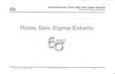 Role el sbelto - · PDF fileEntrenamiento Green Belt Seis Sigma-Esbelto ... · Revisión del proyecto durante cada sesion ... · Formatos herramienta apropiados con datos de apoyo"?