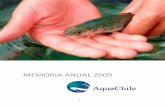 MEMORIA ANUAL 2009 - aquachile.com Anual 2009_0.pdf · Presento a continuación la Memoria Anual y Estados Financieros de Empresas AquaChile S.A. para el año 2009. ... sanitarias
