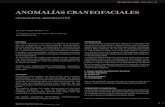 ANOMALÍAS CRANEOFACIALES - · PDF file7 [ANOMALÍAS CRANEOFACIALES - DR. JUAN PABLO SOROLLA P.] Figura 2. (10) Figura 3. -Idiosincrasia materna. Niveles altos de fenilketonuria aumenta