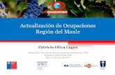 Actualización de Ocupaciones Región del Mauleobservatoriomaule.cl/wp-content/uploads/2017/07/OLMPresentacinDec… · •Pintores y empapeladores