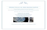 Practica III Microscopia - betoovalle.files.wordpress.com …  · Web viewDicha herramienta es imprescindible en un laboratorio de investigación y en un laboratorio clínico.